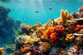 Kolaps celého ekosystému? Odborníci sú v pozore! Koralové útesy môže postihnúť najhoršia katastrofa v histórii