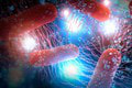 Hororový objav vedcov: Upírske baktérie! Naskočia vám zimoriavky, čo v našom tele robia