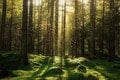 Slováci, pozor: Zákaz vstupu do lesov Tribeča rozšírili: Znepokojivé, čo tam hrozí
