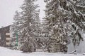 Chorvátsko paralyzovala snehová víchrica: Šialené teplotné výkyvy spôsobili totálnu kalamitu! Sledujte tie FOTKY