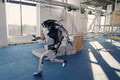 Vývojár predstavil najpokročilejšieho humanoida: Pohyby ako z HORORU?! Sledujte, čo všetko už dokáže