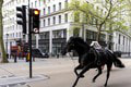 FOTO Strach, krv a zmätok! Splašené kone spôsobili v Londýne horor: Ľudí museli odviezť do nemocnice