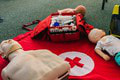 Požičovne Slovenského Červeného kríža ponúkajú možnosť požičať si zdravotnícku pomôcku: Koľko vás to bude stáť?