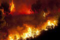 Požiar v Dobročskom pralese: Plamene sa dostali aj do jadra! Čo všetko poškodili?