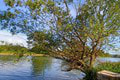 Zábery ako z rozprávky: Mirka šla na prechádzku k rieke Váh, AHA, ako dokonalo zachytila rôznofarebnosť jari!