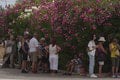 Panika v Grécku: Hasiči bojujú s požiarom pri Aténach! Úrady nariadili evakuáciu