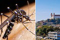 Alarmujúca situácia v okolí Bratislavy: Komáre obyvateľom pijú krv! Čo im naháňa najväčší STRACH?