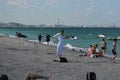 Pozor, opäť štartuje dovolenková inšpekcia! Nový Čas okúsil lacný relax na pláži Mamaia: Čo ponúka rumunské letovisko?