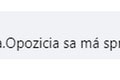 Opozičné političky prekvapujú: Fotky s politickými nepriateľmi! Imponujú im fešáci z koalície?