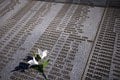 Srebrenica sa ponorila do smútku: Ľudia si pripomenuli obete genocídy, srdervúce FOTKY