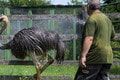 V košickej zoo počas pekelných horúčav sprchujú rôzne druhy zvierat: Pozrite sa, ako si ich užívajú!