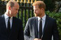 William a Harry sa po dlhej dobe STRETLI: Šokujúce správanie! TOTO že sú bratia?