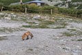 ŠOK! Turisti prišli na Skalnaté pleso a zostali ako obarení: Pozrite sa na to!