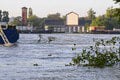 Rozsiahle ŠKODY po celom Slovensku: Spadnutý strom ZABLOKOVAL vlak! Popadali aj na cesty a autá