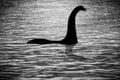 Lochnesská príšera NEEXISTUJE?! Odborník šokoval ľudí! Poviem vám PRAVDU o Nessie a mám dôkaz