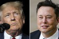 Diabolský plán Trumpa a Muska vychádza: Zamestnanci po celom svete dostali dovolenku! Čo je za tým?