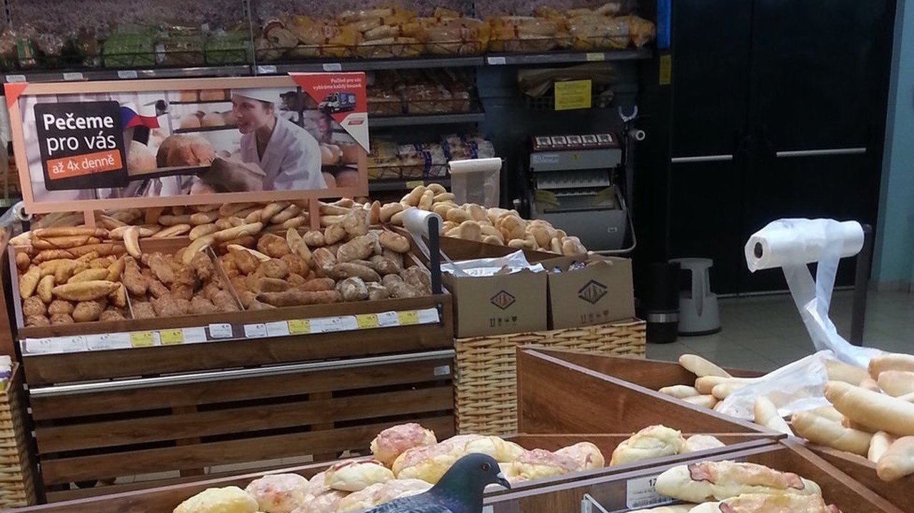 Pečivo v supermarkete strážil.