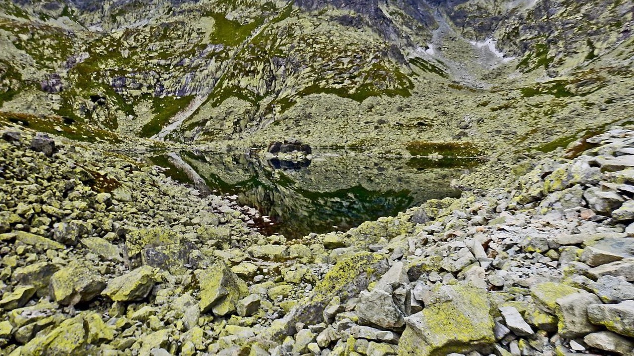 Žabie plesá - Malé: Nachádzajú sa v Mengusovskej doline.
