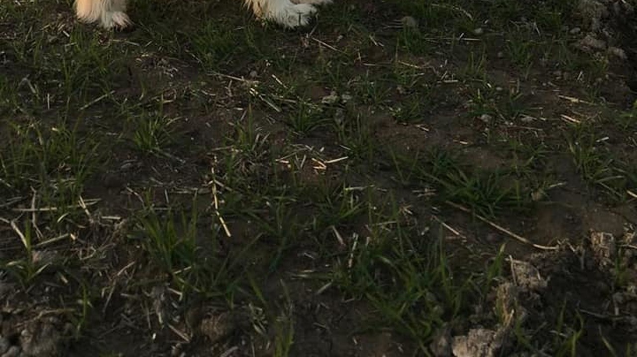 Nepochybuje, že sa vylieči.