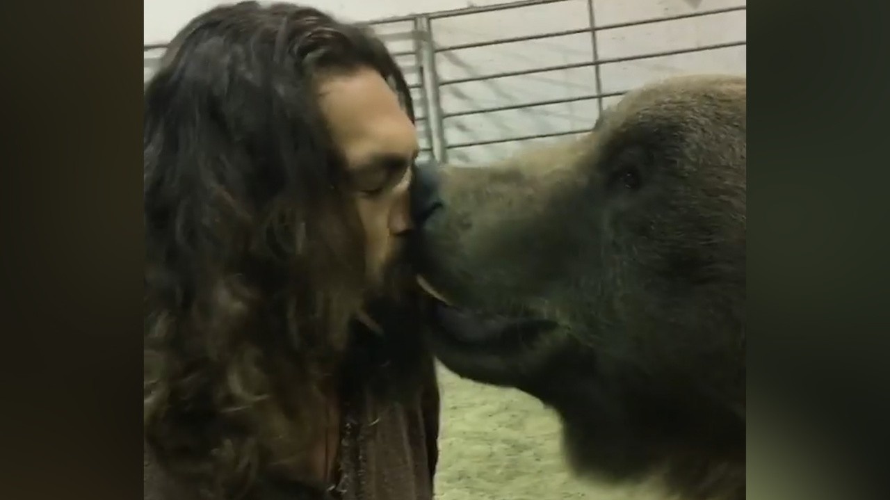 Herec Jason Momoa sa podelil o jedlo: Po tomto bozku s grizlym ho však zahrnula vlna kritiky