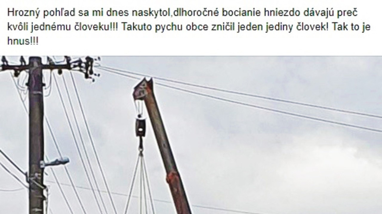 Bocianí príbytok odstránili pomocou hydraulického ramena.