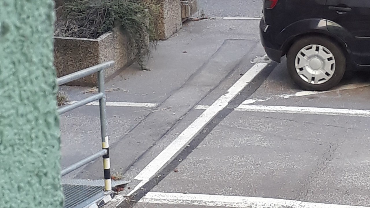 Ohorok zahasil v kvetináči.