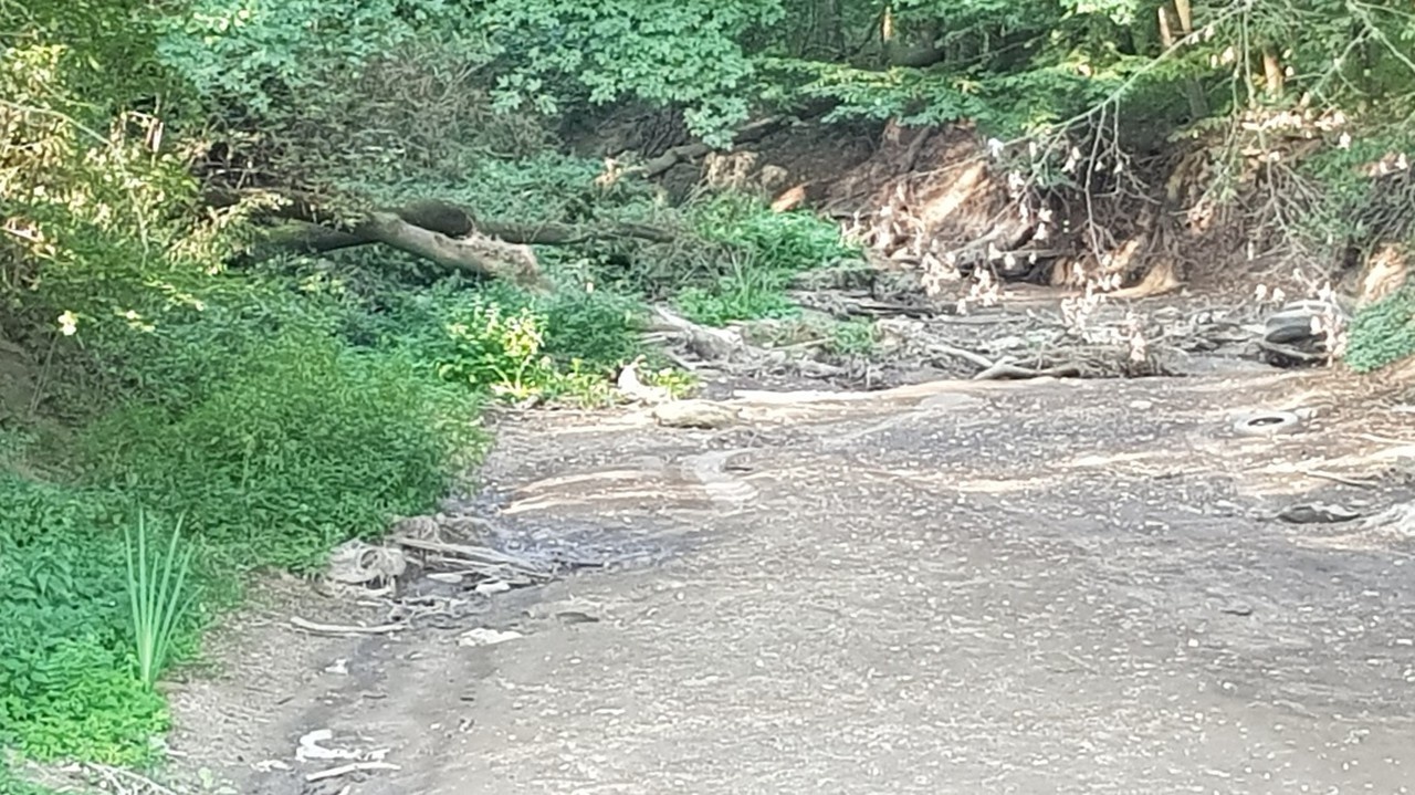 Riečka Myjava počas tepla a sucha vyschla.