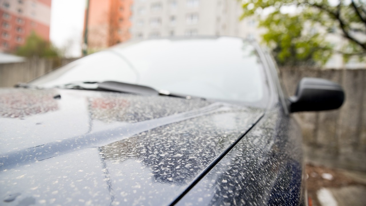 Aj vy ste si našli vaše auto špinavé? Môže za to tento jav! | Nový Čas