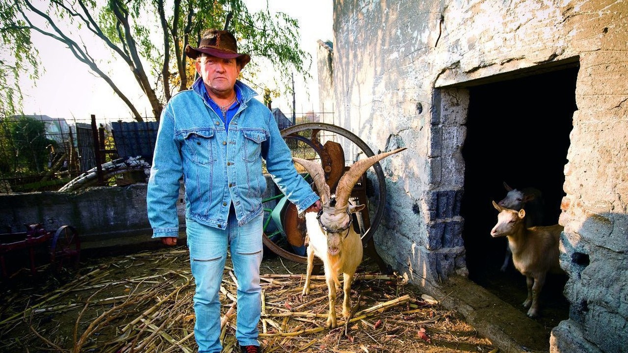 Pavol má na svojej farme takmer rovnaký počet zvierat na okrasu ako na chov.