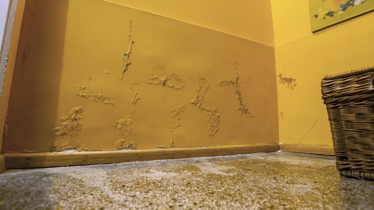 Na schodisku do jej pivnice začne o chvíľu opadávať omietka.