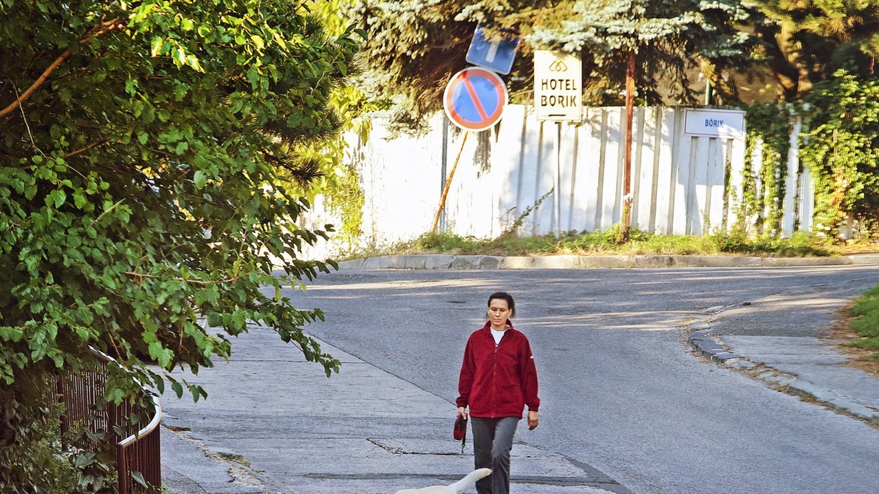 30. august 2013: Svetlana Ficová počas včerajšej prechádzky so psom nemala na ruke obrúčku.