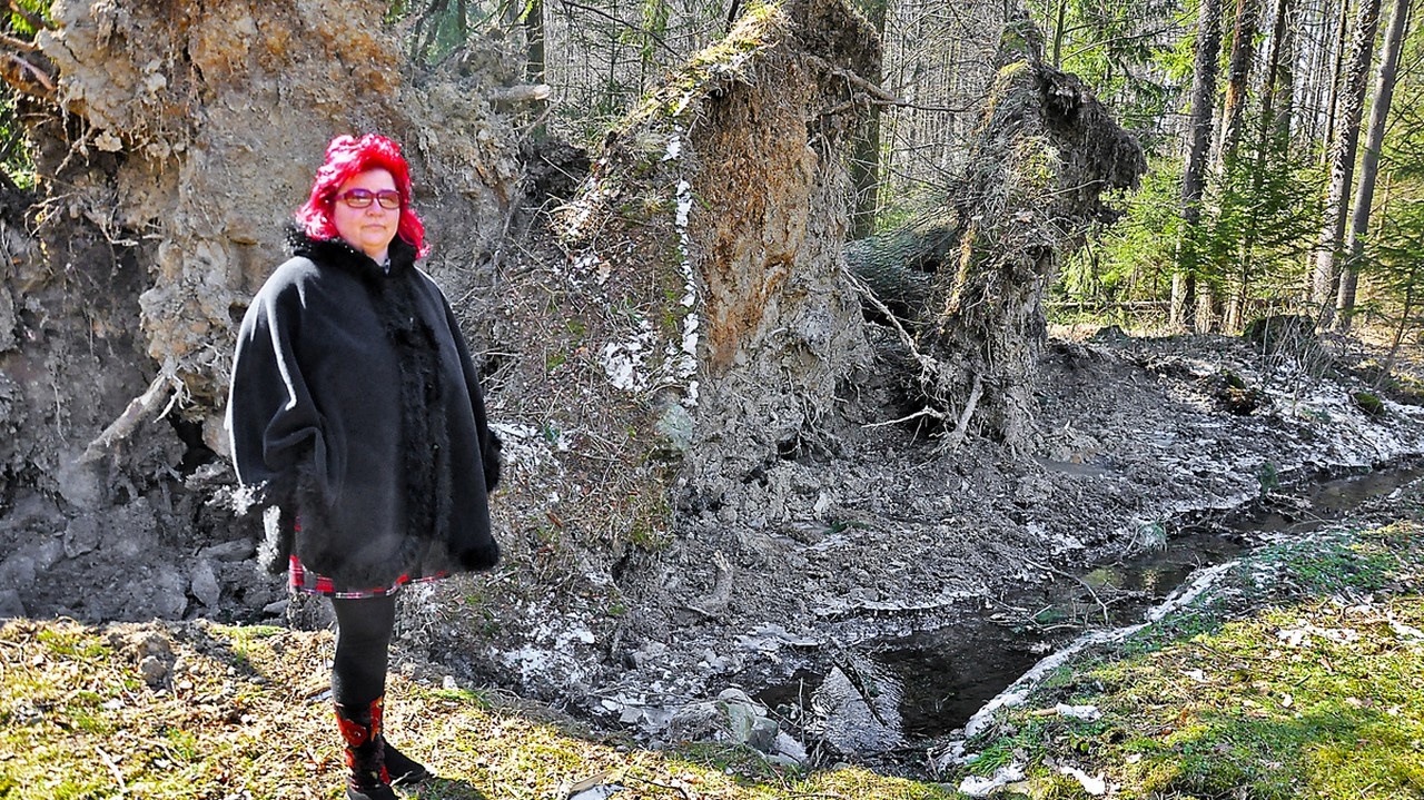 „Som smutná z toho, čo vidím. Je mi na zaplakanie,“ uviedla Viera Kolpaská z Dobšinej.