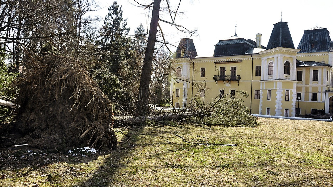 Vietor vytrhol aj strom v blízkosti betliarskeho kaštieľa.