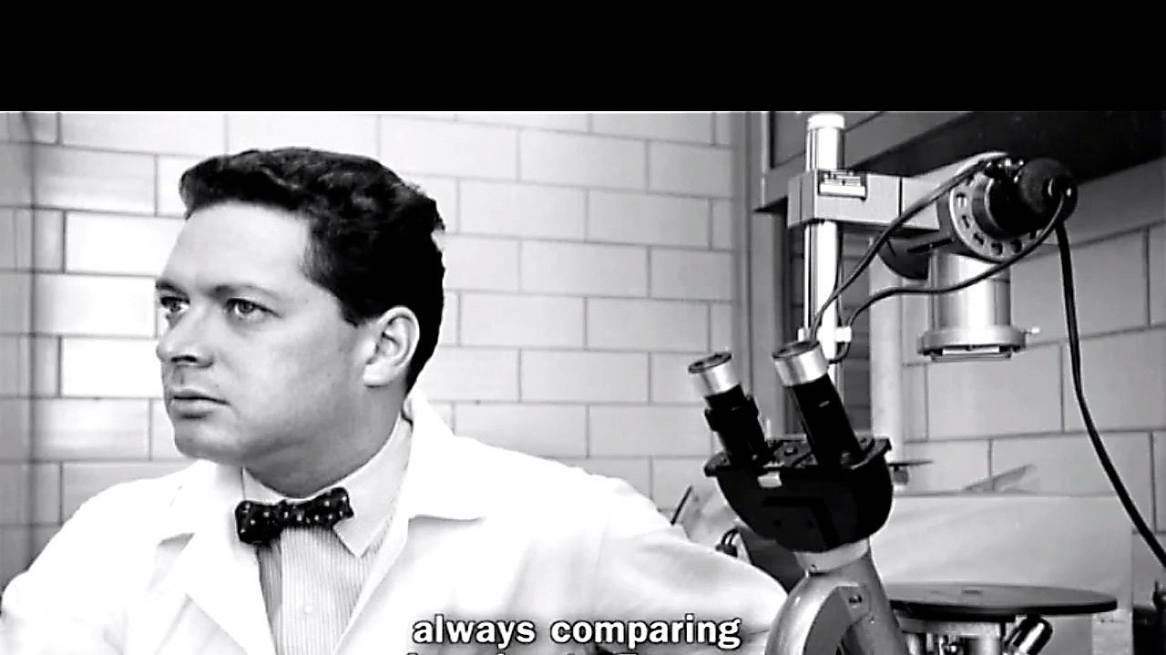 Mladý Ján Vilček si po emigrácii otvoril vlastné laboratórium na Newyorskej univerzite.