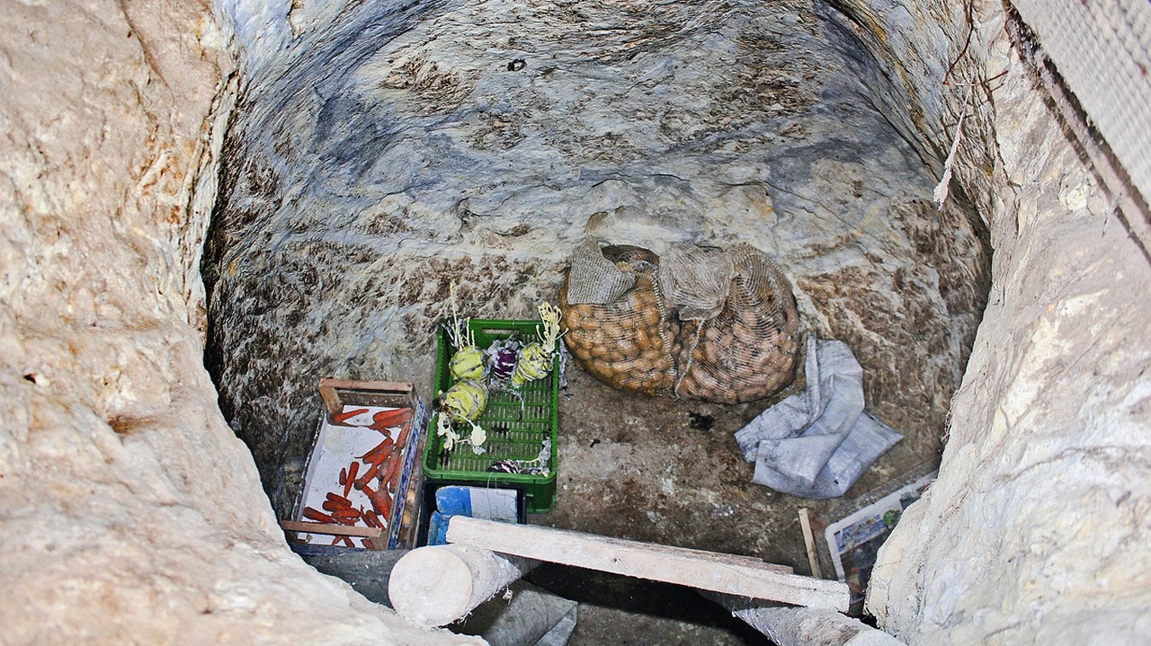 Zelenina v pivničke vydrží čerstvá dlhšie než v chladničke.