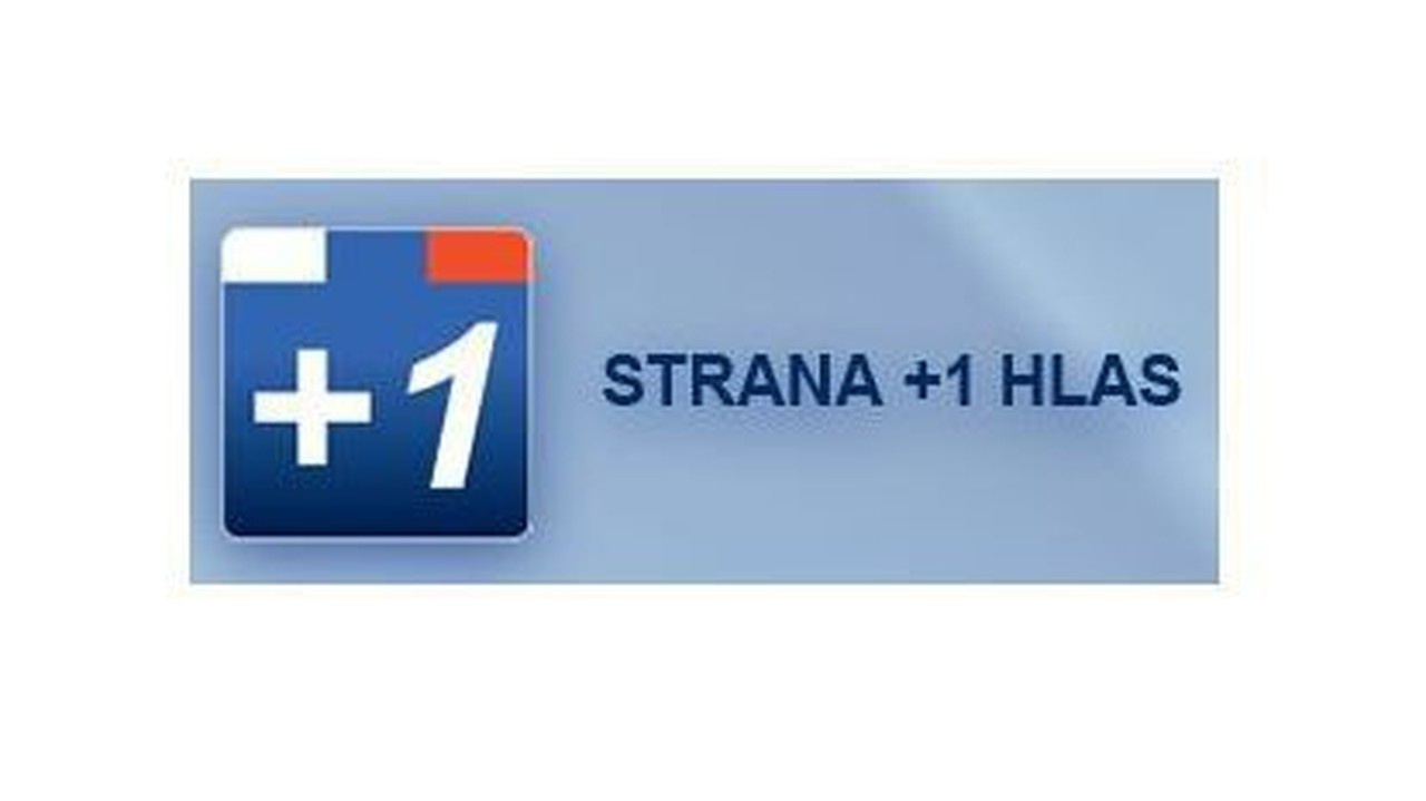 19 Strana + 1 hlas - volebný program