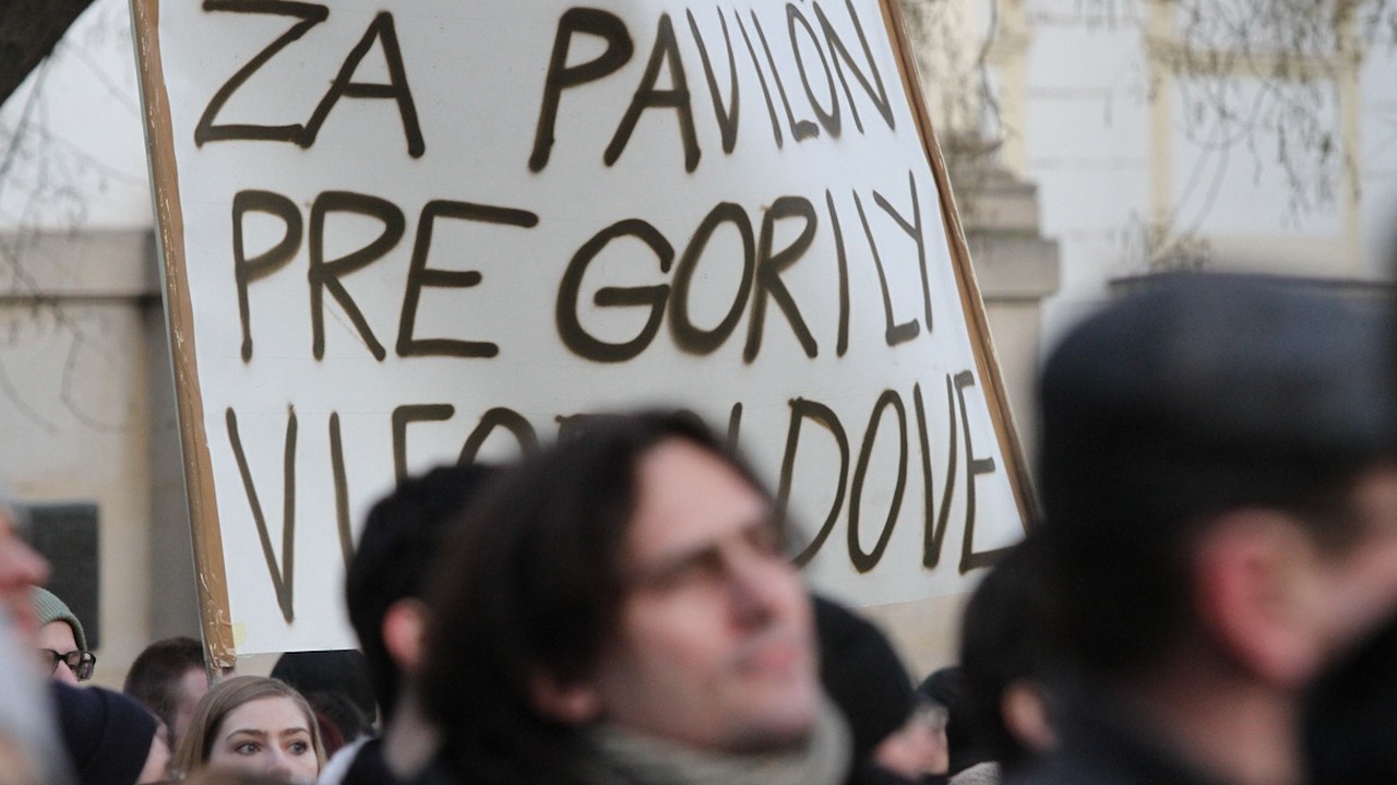 Protest Gorila