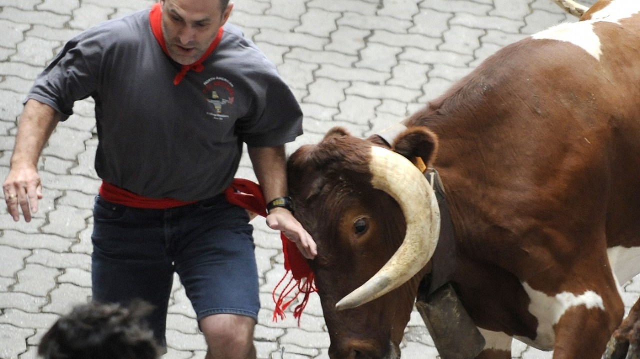 Proti zúrivým býkom zrolovanými novinami: Začala sa fiesta v Pamplone
