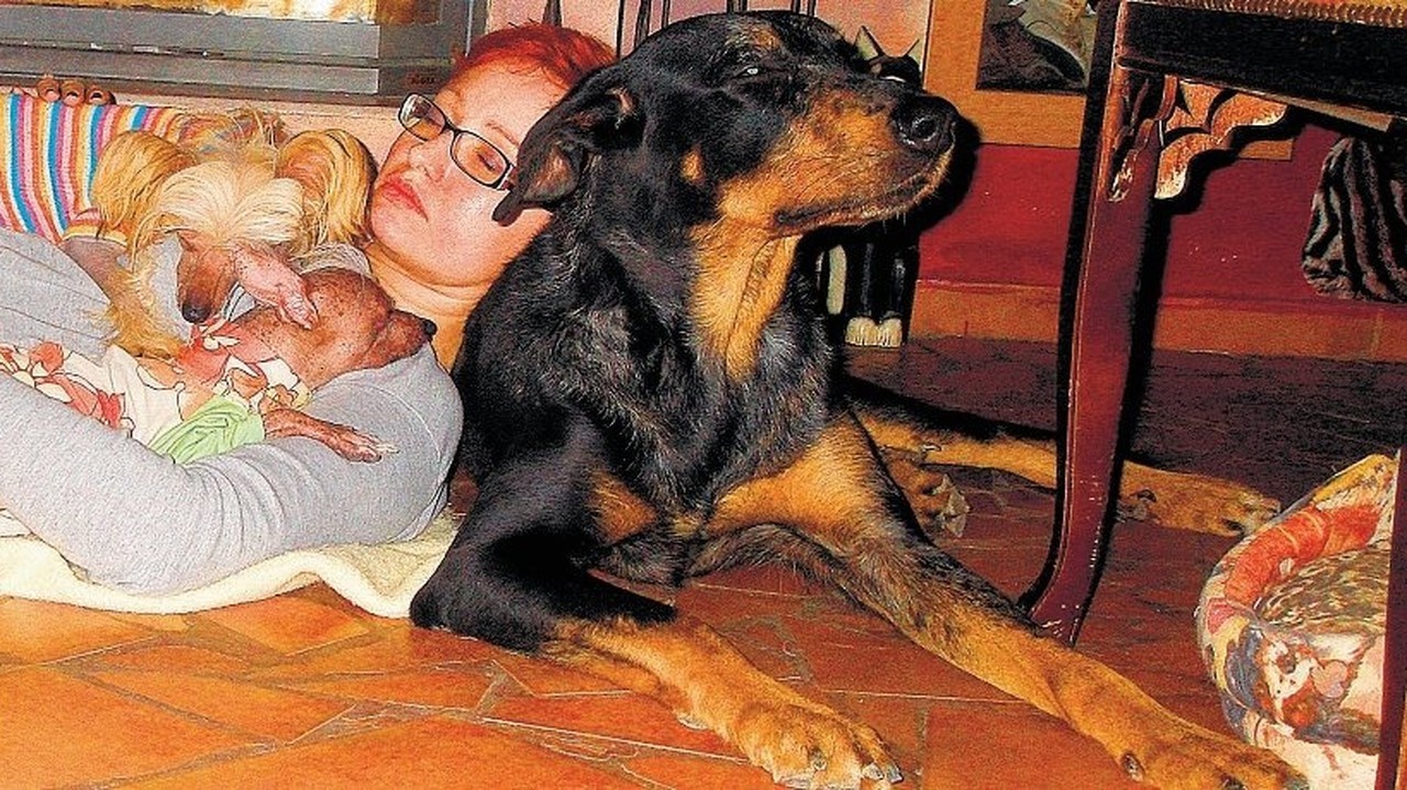 Po odchode škôlkárov: Hellu, Charllotu a Huga premohol spánok. Grétka poslúžila ako vankúš