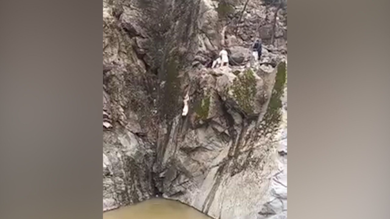 Toto video vás chytí za srdce: Muž chcel zachrániť holuba, podstúpil riskantný krok