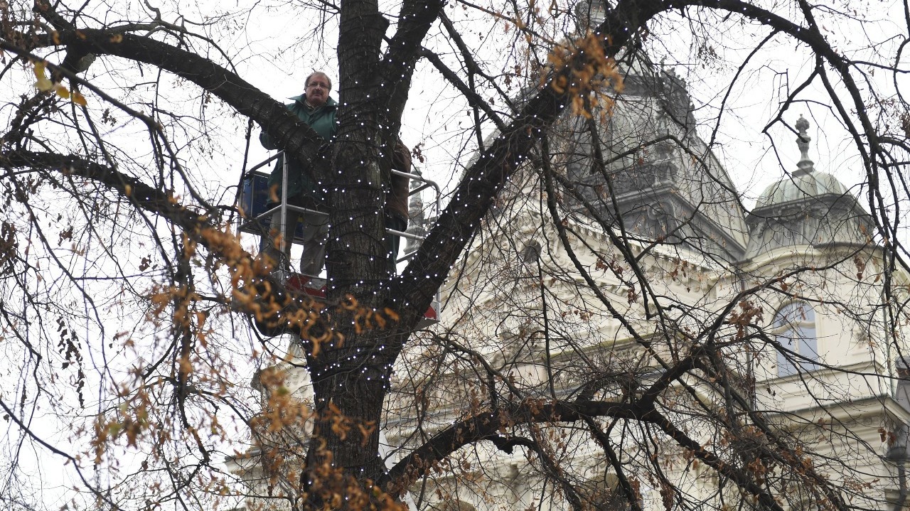 Inštalácia vianočnej svetelnej reťaze na strom na Hlavnej ulici v Košiciach