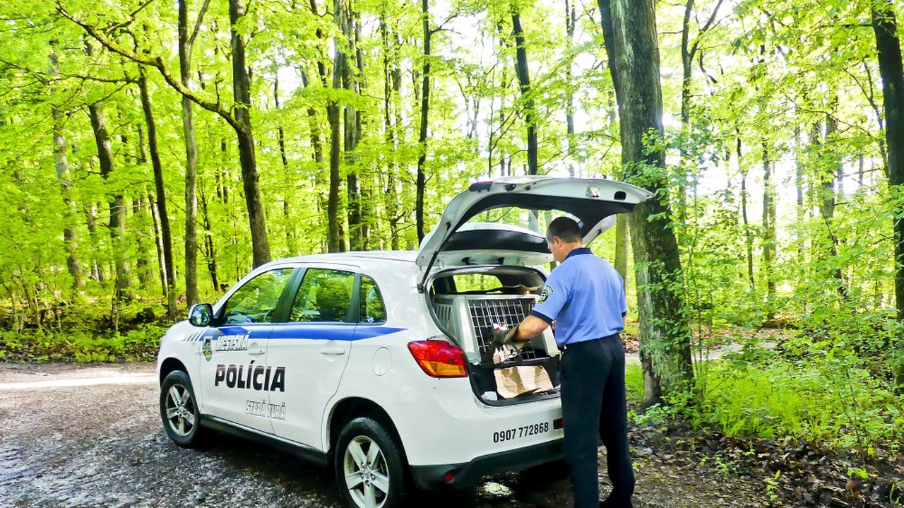 Polícia absolvovala
netradičný výjazd
priamo do lesa.