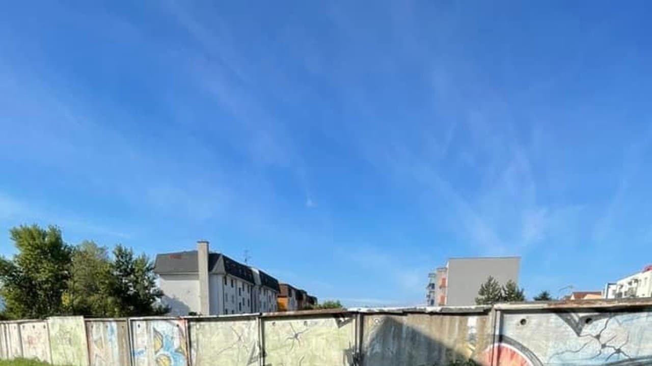 Kozy sa poprechádzali po meste.