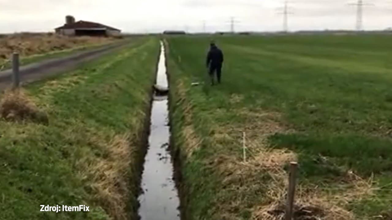 Muž vyslobodil ovečku, ktorá uviazla v priekope: Neuveríte, čo zviera následne urobilo!