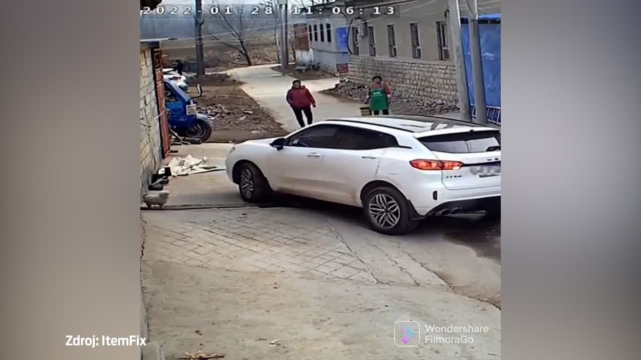 Vodič netušil, čo spôsobí, keď prejde po doske na ceste: Šteniatko mu vyletelo rovno do okna!