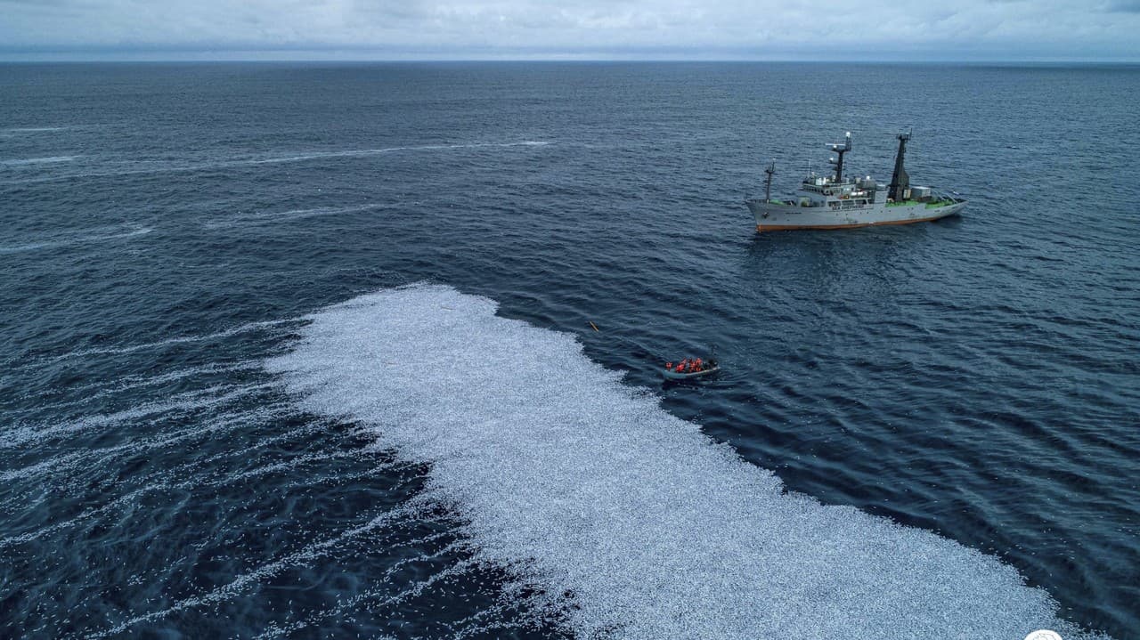 Un bateau de pêche néerlandais jette à la mer une énorme quantité de poissons morts : un spectacle qui fait mal