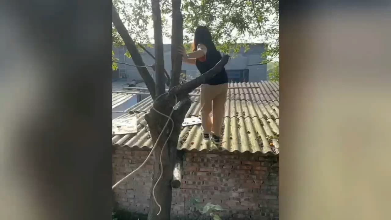 Ženu zlákalo zakázané ovocie, vyliezla na strechu: O chvíľu to trpko oľutovala!