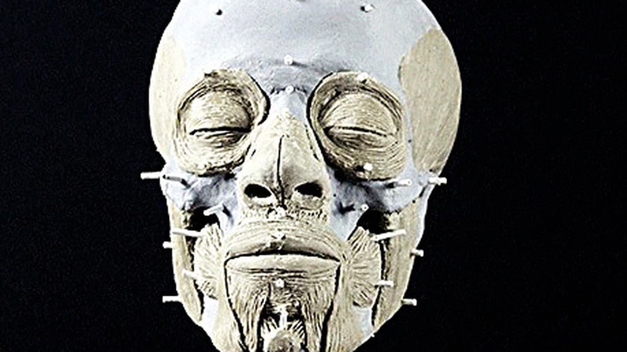 Ils ont reconstitué l’image d’une mère préhistorique grâce à la technologie 3D : voici à quoi ressemble une femme de l’âge de pierre