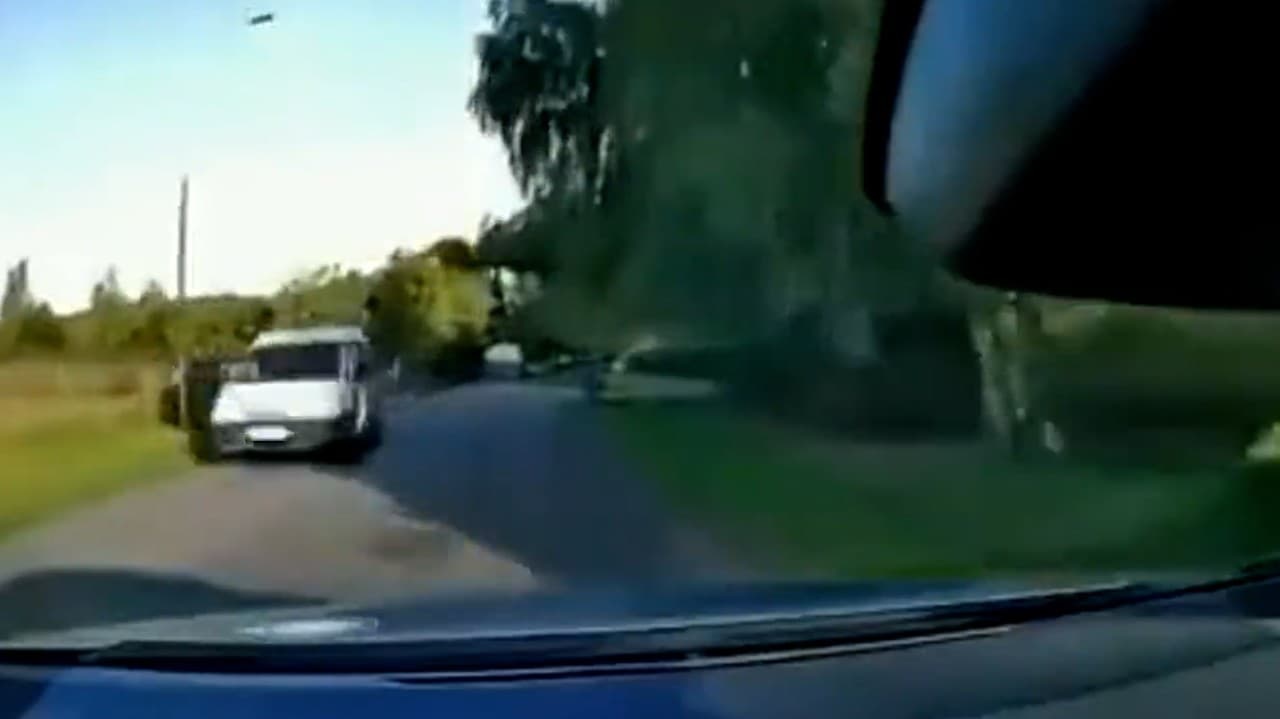 Nik netušil, odkiaľ sa vzal: Obrovský los vrazil do idúceho auta! Neuveriteľné, čo sa stalo potom