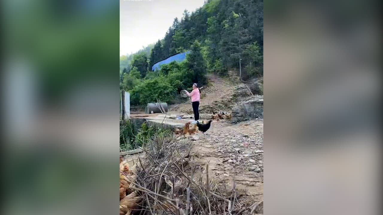 Žena na dvore udrela na plechový hrniec, neuveriteľné, čo tým spustila: Musela sa kryť a utekať